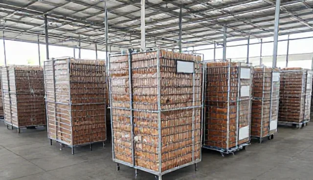 食品研发需求反馈管理建议,提升研发效率